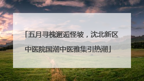 五月寻槐邂逅怪坡，沈北新区中医院国潮中医雅集引热潮